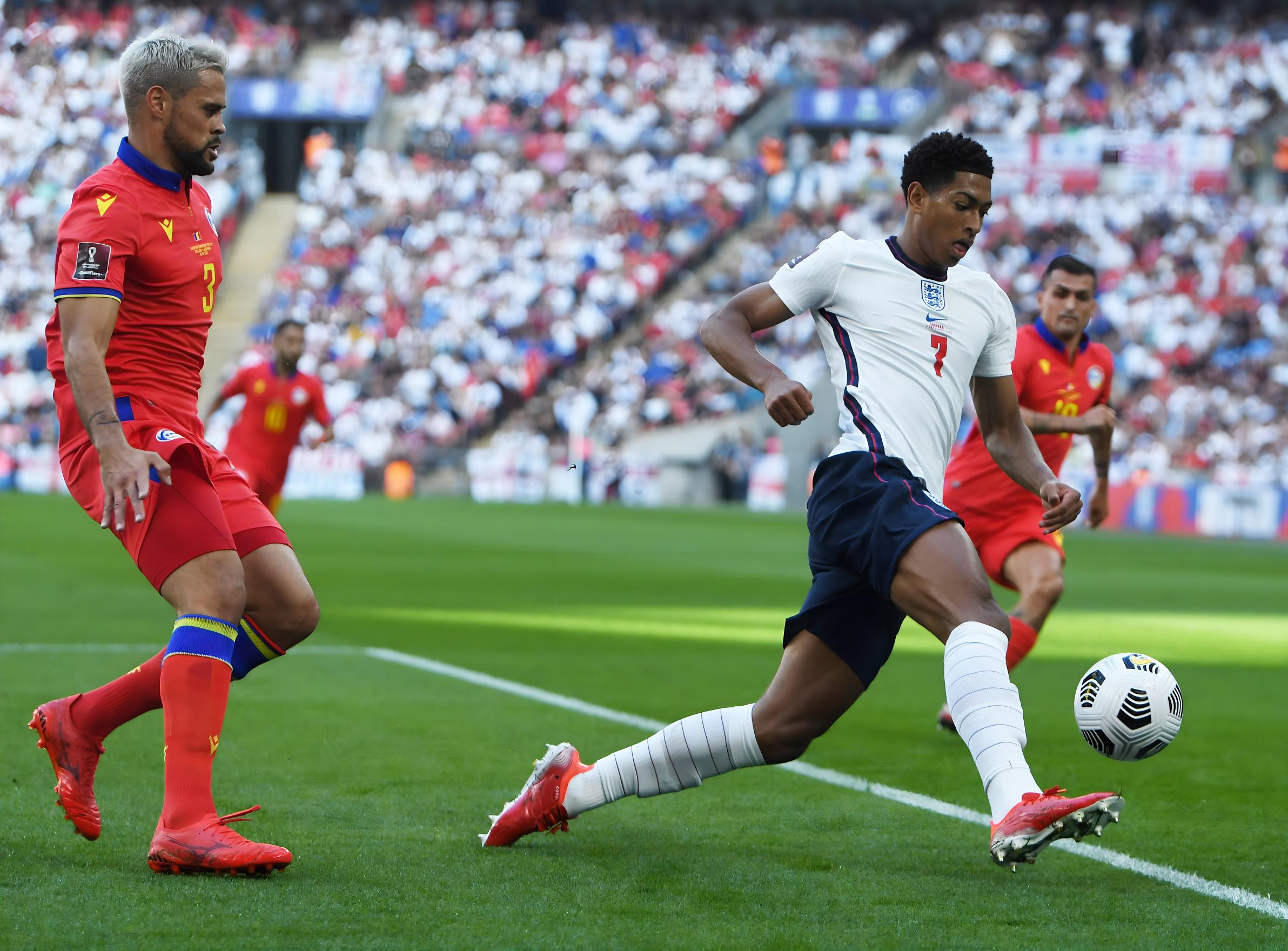 这位从荷兰 这位从荷兰