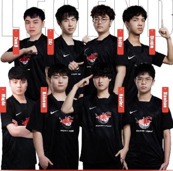 职业化界定 职业化界定