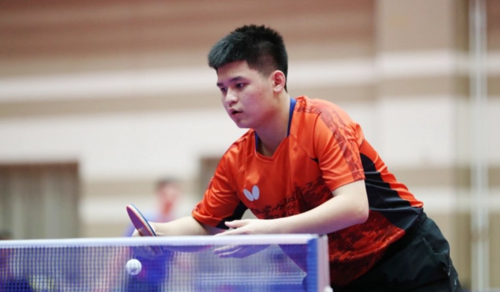 鼋头渚的樱 鼋头渚的樱