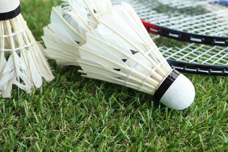 发球与接发 发球与接发